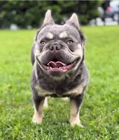 processed/dc36506b-42f0-4757-954c-7a55434c508c/facility/e27b6b57-3bed-4b21-b1da-8f09ad66f967