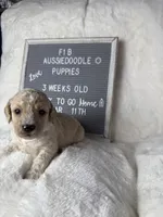 processed/dc383eab-7b4e-42be-aa7a-ebfc29f24cc4/listing/0e0e5f81-c121-47f8-afc3-e75f5f9e15d0/0771f93e-00ac-4316-b3ee-b83a2b574118