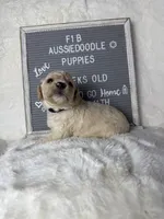 processed/dc383eab-7b4e-42be-aa7a-ebfc29f24cc4/listing/0e0e5f81-c121-47f8-afc3-e75f5f9e15d0/1e0d544d-956d-45a5-ac47-1333fd5accce