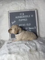 processed/dc383eab-7b4e-42be-aa7a-ebfc29f24cc4/listing/0e0e5f81-c121-47f8-afc3-e75f5f9e15d0/e29a2d05-81cc-40d9-b3c7-1cdae5bb2962