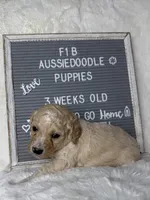 processed/dc383eab-7b4e-42be-aa7a-ebfc29f24cc4/listing/0e0e5f81-c121-47f8-afc3-e75f5f9e15d0/ee536f80-a930-4c69-8005-71a910401c9c