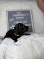 processed/dc383eab-7b4e-42be-aa7a-ebfc29f24cc4/listing/7d878e58-2ee8-472c-97d2-b774f93e12ca/11685dd3-2f70-4004-af9c-6f649285c81e