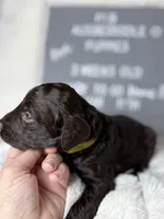 processed/dc383eab-7b4e-42be-aa7a-ebfc29f24cc4/listing/7d878e58-2ee8-472c-97d2-b774f93e12ca/e85384a3-eb11-40ea-b97f-acbd2df06662