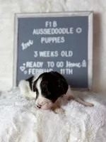 processed/dc383eab-7b4e-42be-aa7a-ebfc29f24cc4/listing/d7e25c85-22a8-4c37-a490-281dbc47f036/2a50dab7-57a0-406d-90eb-15698e6e7f09