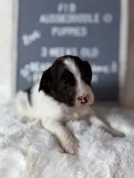 processed/dc383eab-7b4e-42be-aa7a-ebfc29f24cc4/listing/d7e25c85-22a8-4c37-a490-281dbc47f036/ded4f1da-6105-42fb-98ea-13dcd8fe9938