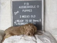 processed/dc383eab-7b4e-42be-aa7a-ebfc29f24cc4/listing/e34663ab-25df-4066-bbb4-f66ddf83a49d/08164351-d7bd-4bfd-b5ae-42c9f2214f8f