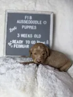 processed/dc383eab-7b4e-42be-aa7a-ebfc29f24cc4/listing/e34663ab-25df-4066-bbb4-f66ddf83a49d/76f36dd6-2036-4a33-8733-f760f4102466