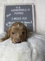 processed/dc383eab-7b4e-42be-aa7a-ebfc29f24cc4/listing/e34663ab-25df-4066-bbb4-f66ddf83a49d/fda55c3d-1b1d-4ef4-9261-8a5d3ca00940