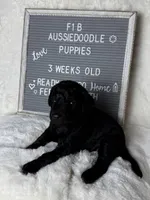 processed/dc383eab-7b4e-42be-aa7a-ebfc29f24cc4/listing/ef97289b-dce5-497f-ac7e-137b7e468109/18b7fcd2-579b-41b9-8b57-9a25abcd6d46