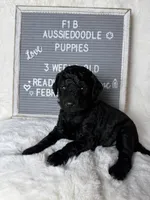 processed/dc383eab-7b4e-42be-aa7a-ebfc29f24cc4/listing/ef97289b-dce5-497f-ac7e-137b7e468109/2b5d1908-aef6-4598-8258-95d8fcc0381e