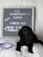 processed/dc383eab-7b4e-42be-aa7a-ebfc29f24cc4/listing/f286075d-1e2c-416a-9e06-3b3f194e2452/61c87e52-dac6-465c-b264-0c8b2afa5aed