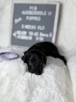 processed/dc383eab-7b4e-42be-aa7a-ebfc29f24cc4/listing/f286075d-1e2c-416a-9e06-3b3f194e2452/62b5c3df-bb35-4661-ae89-8082a56afc6f