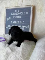 processed/dc383eab-7b4e-42be-aa7a-ebfc29f24cc4/listing/f286075d-1e2c-416a-9e06-3b3f194e2452/f55815b8-4b6b-400d-8962-e7eade23d3b5