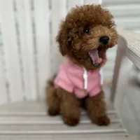 processed/dc3e5f39-de10-43f4-a12e-86be65184031/facility/06257237-630d-4942-b13f-d920e19c1095