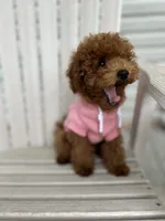 processed/dc3e5f39-de10-43f4-a12e-86be65184031/facility/06257237-630d-4942-b13f-d920e19c1095