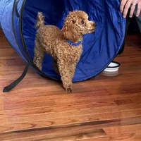 processed/dc3e5f39-de10-43f4-a12e-86be65184031/facility/1683bfcf-5506-431f-b2e4-a46026de39a4