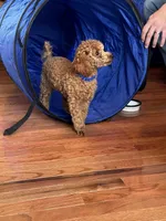 processed/dc3e5f39-de10-43f4-a12e-86be65184031/facility/1683bfcf-5506-431f-b2e4-a46026de39a4