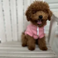 processed/dc3e5f39-de10-43f4-a12e-86be65184031/facility/2ca43412-2b57-4ee4-9c18-9edaf4d41166