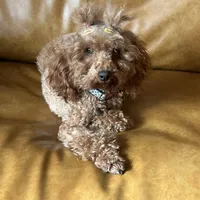 processed/dc3e5f39-de10-43f4-a12e-86be65184031/facility/3c0bceb6-f60f-4d8c-b44a-967457ef47e8