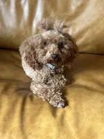 processed/dc3e5f39-de10-43f4-a12e-86be65184031/facility/3c0bceb6-f60f-4d8c-b44a-967457ef47e8