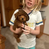 processed/dc3e5f39-de10-43f4-a12e-86be65184031/facility/3c8b7c4f-e292-4059-835f-93d23cf5b175