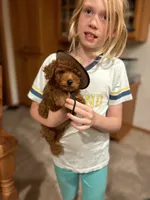 processed/dc3e5f39-de10-43f4-a12e-86be65184031/facility/3c8b7c4f-e292-4059-835f-93d23cf5b175