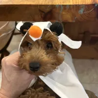 processed/dc3e5f39-de10-43f4-a12e-86be65184031/facility/4f45ae03-9e48-4f03-8580-06f65c89934d