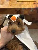 processed/dc3e5f39-de10-43f4-a12e-86be65184031/facility/4f45ae03-9e48-4f03-8580-06f65c89934d