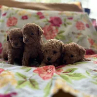 processed/dc3e5f39-de10-43f4-a12e-86be65184031/facility/76df719a-b0e4-4b73-ad6c-8f7f64c94aa9