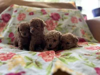 processed/dc3e5f39-de10-43f4-a12e-86be65184031/facility/76df719a-b0e4-4b73-ad6c-8f7f64c94aa9