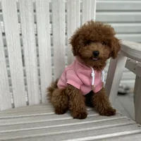 processed/dc3e5f39-de10-43f4-a12e-86be65184031/facility/9ef1a105-27f4-45c6-b0e8-91d66a4882e8