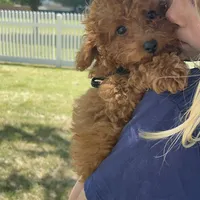 processed/dc3e5f39-de10-43f4-a12e-86be65184031/facility/c851f55d-c194-42b3-8318-59fd01911d8c