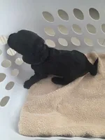 processed/dc460697-6d6d-4da2-9c46-21e24f2cda60/listing/44b4691b-1c09-4d62-83f8-4b7f1105f3b7/39e08c29-596a-4441-88fe-1674c9d28d7a