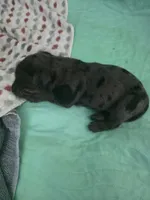 processed/dc460697-6d6d-4da2-9c46-21e24f2cda60/listing/44b4691b-1c09-4d62-83f8-4b7f1105f3b7/f6adc7b8-9ad2-4dd6-953e-323c47aa97d9