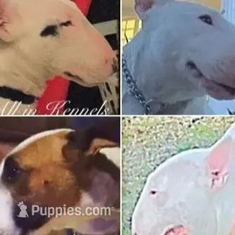 processed/dc4e5bbe-2610-4a01-b4a2-ebafbccfb22c/facility/451060b5-2866-445f-a777-e9e9467ea807