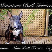 processed/dc4e5bbe-2610-4a01-b4a2-ebafbccfb22c/facility/5e164981-0744-4898-9a0f-151eb4c9125e