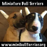 processed/dc4e5bbe-2610-4a01-b4a2-ebafbccfb22c/facility/84f533a6-a6e3-460f-92a3-531c0af1bed5