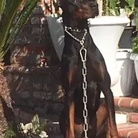 processed/dc4e5bbe-2610-4a01-b4a2-ebafbccfb22c/facility/c3e874ed-06d8-415b-a008-c3c347fbb826