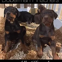 processed/dc4e5bbe-2610-4a01-b4a2-ebafbccfb22c/facility/eaecee9f-a321-43f1-8ea4-2eed47beafa9