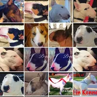 processed/dc4e5bbe-2610-4a01-b4a2-ebafbccfb22c/facility/ecb44621-d11f-40c4-a1fb-48985daf8eca