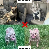 processed/dc5f8bea-8755-4d4a-979a-951d67f797ff/facility/4cdf55a4-488b-44ef-9609-cb99b4ba26e0