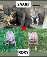 processed/dc5f8bea-8755-4d4a-979a-951d67f797ff/facility/4cdf55a4-488b-44ef-9609-cb99b4ba26e0