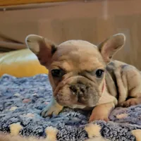 processed/dc5f8bea-8755-4d4a-979a-951d67f797ff/facility/5b6ae3a6-bdc5-4d6a-b512-3dd9d41291e2