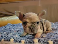 processed/dc5f8bea-8755-4d4a-979a-951d67f797ff/facility/5b6ae3a6-bdc5-4d6a-b512-3dd9d41291e2