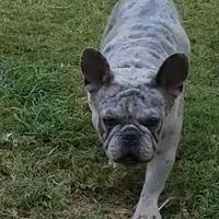 processed/dc5f8bea-8755-4d4a-979a-951d67f797ff/facility/657ff498-55f4-44f2-9c66-a8c19c6436cb