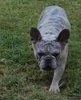 processed/dc5f8bea-8755-4d4a-979a-951d67f797ff/facility/657ff498-55f4-44f2-9c66-a8c19c6436cb