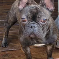 processed/dc5f8bea-8755-4d4a-979a-951d67f797ff/facility/c74edc8f-43a4-4d84-930e-f30b6fae3036