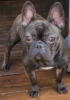 processed/dc5f8bea-8755-4d4a-979a-951d67f797ff/facility/c74edc8f-43a4-4d84-930e-f30b6fae3036