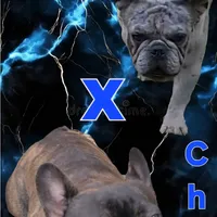 processed/dc5f8bea-8755-4d4a-979a-951d67f797ff/facility/f3488c7b-e21c-4ff3-b67b-d42ecb91aed7