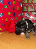 processed/dc6231c8-08c7-482a-8310-25345496ea91/listing/b93b03f3-cb43-4a5f-8f7d-3e1bb6898f8f/0155d404-8661-44ec-bb88-ff52ddbf034b